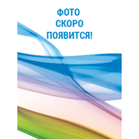 Скид універсальний на два посадочних місця (СУ-X2) (очікується) Скид універсальний на два посадочних місця (СУ-X2) (очікується)